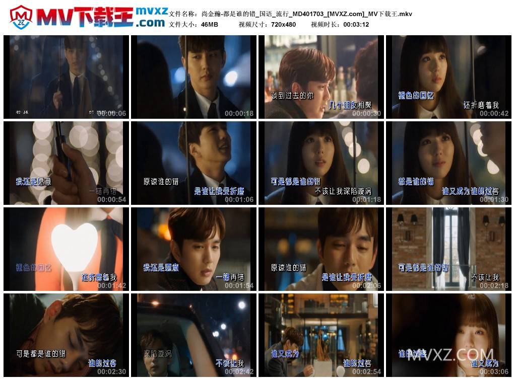 尚金瀚-都是谁的错_国语_流行_MD401703